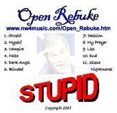 Open Rebuke : Stupid